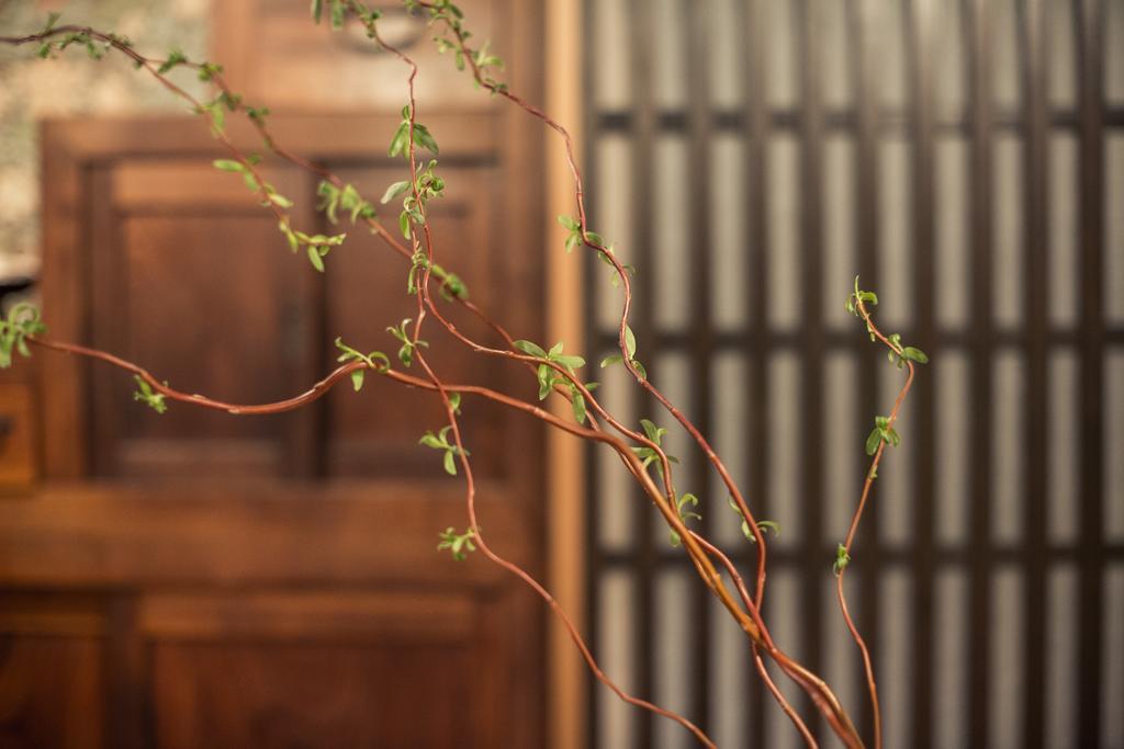 Araiya Tokyo Villa Eksteriør billede